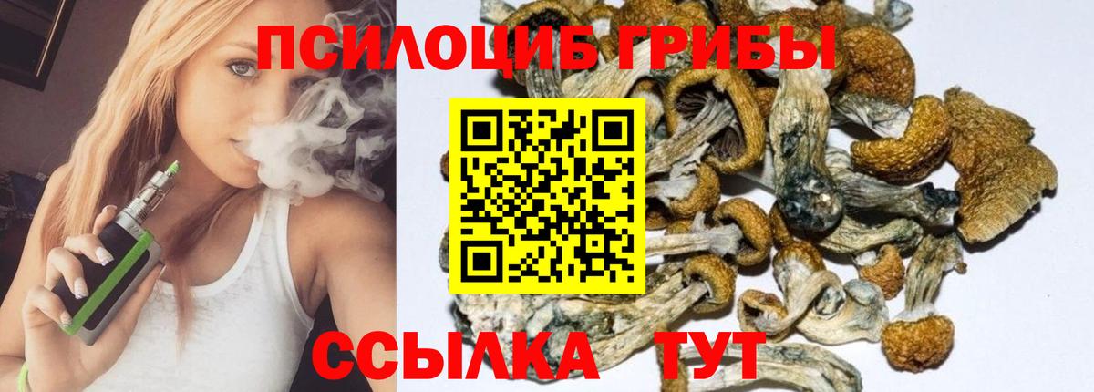 Старая Русса  Псилоцибиновые грибы MAGIC MUSHROOMS  Вход с VPN 