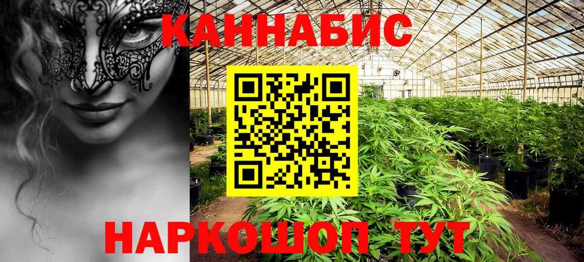 Старая Русса  Марихуана тримм  Конопля гибрид  Канабис Ganja  Вход с VPN 